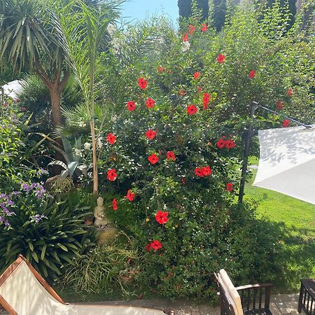 Villa Angelina - Casa Glicine فاليكروسيا المظهر الخارجي الصورة