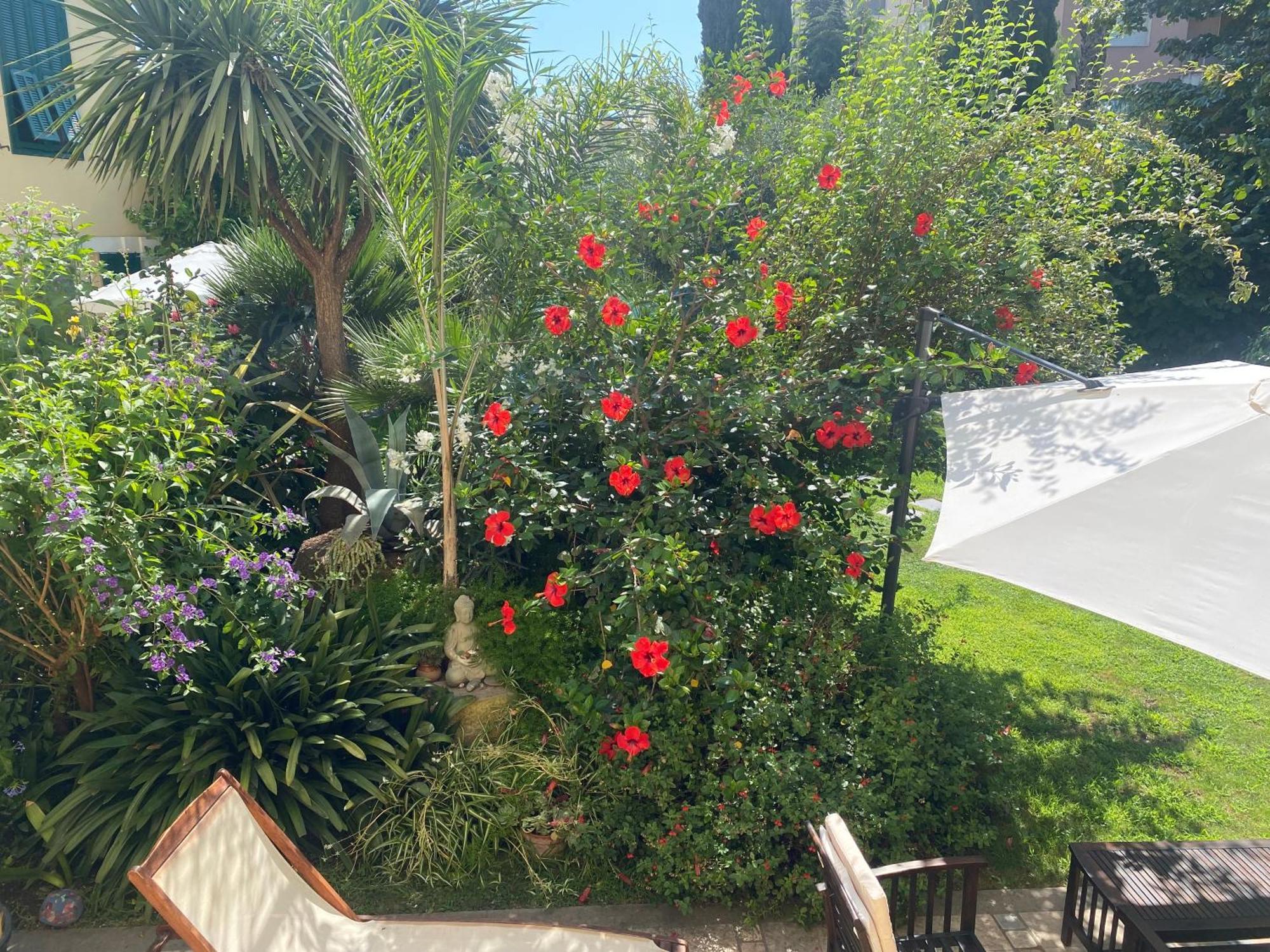 Villa Angelina - Casa Glicine فاليكروسيا المظهر الخارجي الصورة