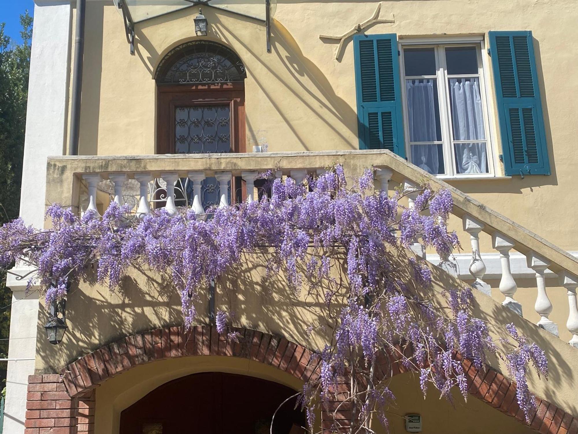Villa Angelina - Casa Glicine فاليكروسيا المظهر الخارجي الصورة