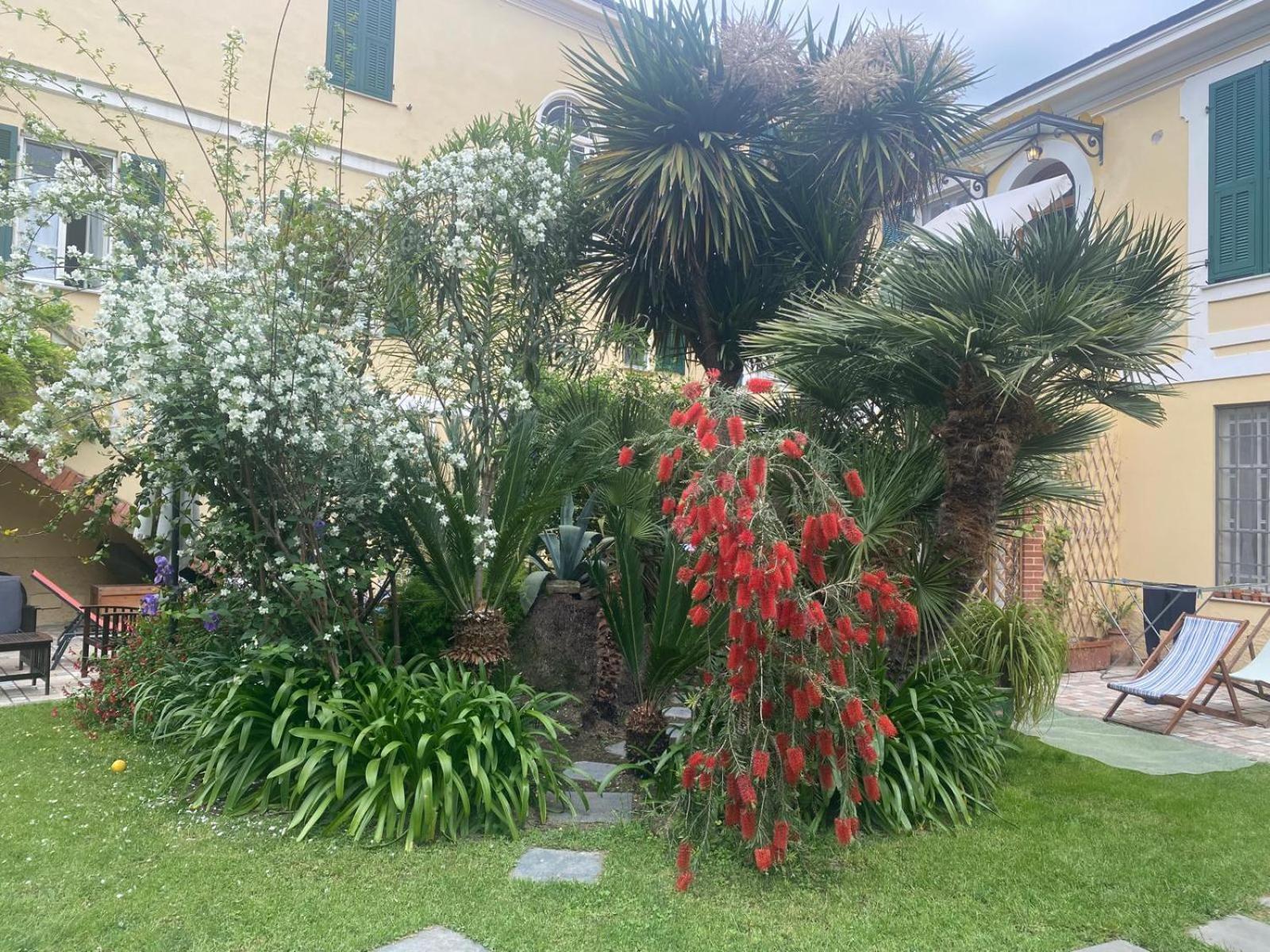 Villa Angelina - Casa Glicine فاليكروسيا المظهر الخارجي الصورة